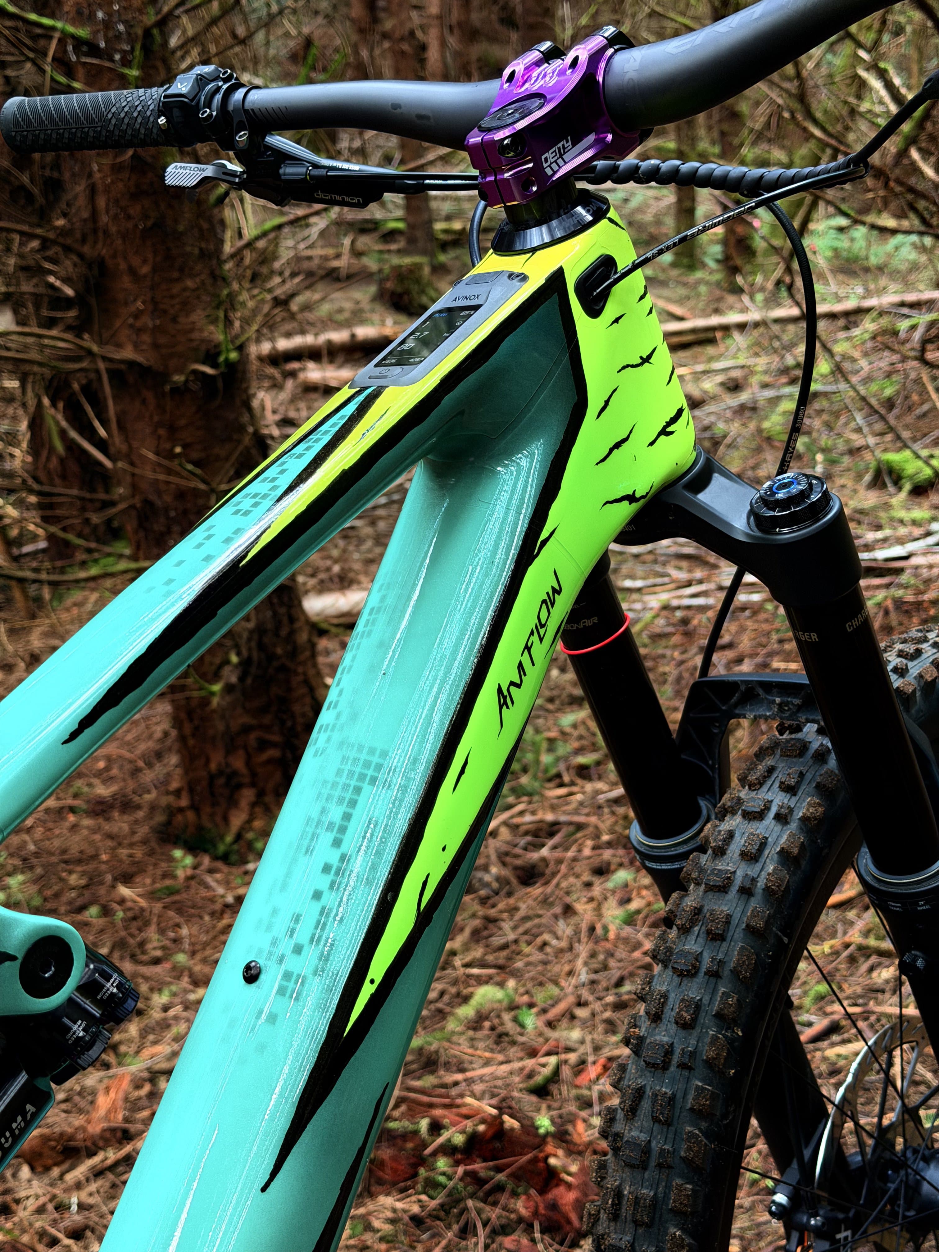 Custom paint work 7